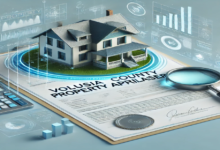 volusia county property appraiser​