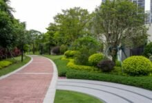 Modern Garden