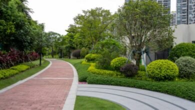 Modern Garden