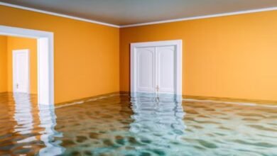 Does Renters Insurance Cover Flooded Basements