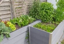 Raised Garden Bed