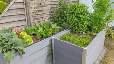 Raised Garden Bed