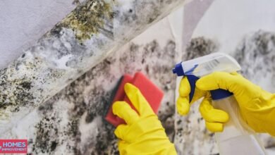 What Is Mold Remediation?